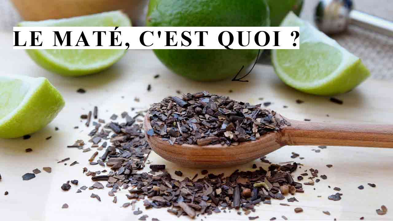 le maté c'est quoi yvymate